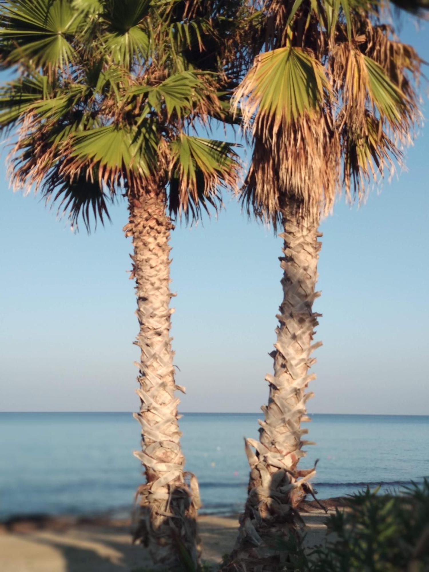 Bed and Breakfast Cofanomare Custonaci Exterior foto